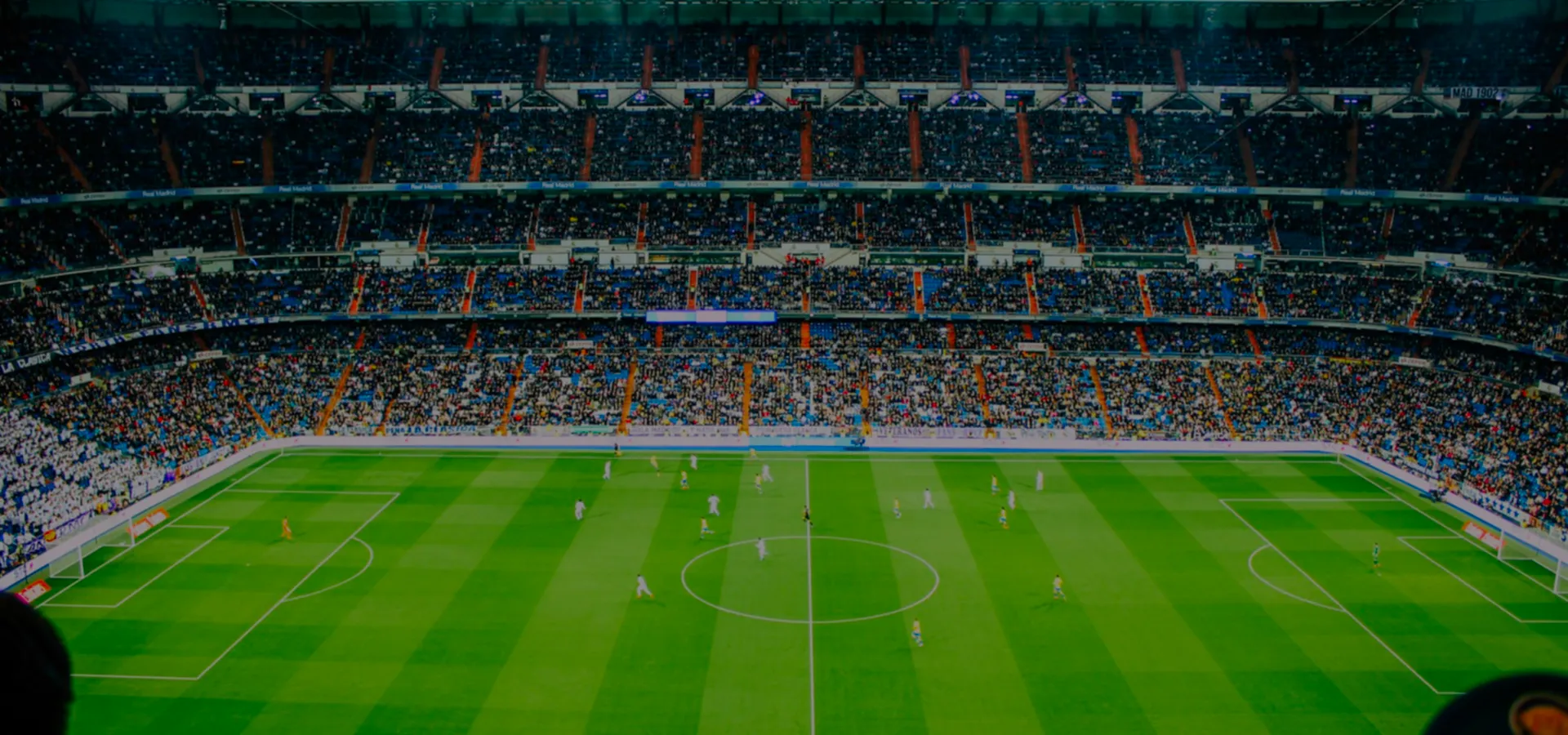 Live Sports and Cinema Stadium Background